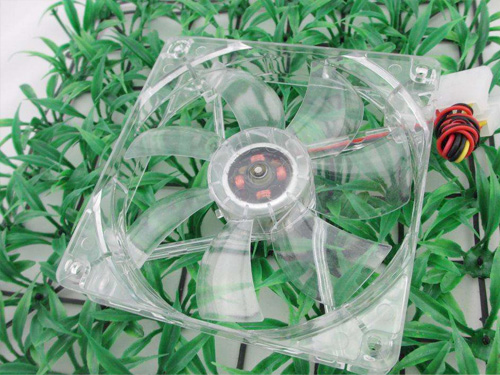直流丝瓜视频破解版污下载18岁风扇使用应注意的事项